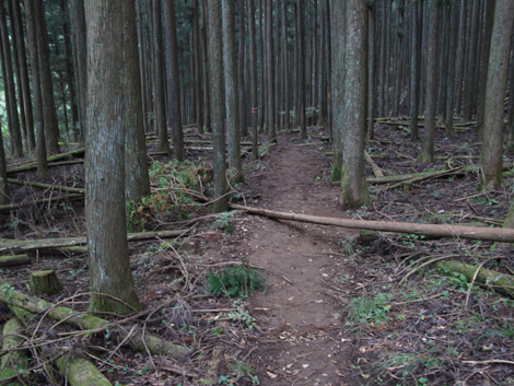 20151021hike (130)